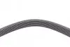 Ремень генератора Ford Mondeo 2.0TDCi 07-15/Opel Astra J/Insignia A 2.0CDTI 09-17 CONTINENTAL Contitech 6PK1847 EXTRA (фото 4)