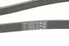 Ремінь генератора Toyota Corolla 1.6/1.8 04-09/BMW 3 (E46/E90)/X1 (E84) 1.6/2.0 01-15 CONTINENTAL Contitech 6PK1870 (фото 3)