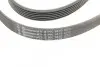 Ремінь генератора Toyota Corolla 1.6/1.8 04-09/BMW 3 (E46/E90)/X1 (E84) 1.6/2.0 01-15 CONTINENTAL Contitech 6PK1870 (фото 4)