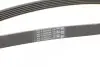 Ремінь генератора Audi A4/A6/A8 2.4/2.6/2.8 95- CONTINENTAL Contitech 6PK1880 (фото 3)