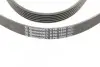 Ремінь генератора Audi A4/A6/A8 2.4/2.6/2.8 95- CONTINENTAL Contitech 6PK1880 (фото 4)