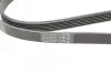 Ремень генератора VW T4 2.0i 91-03/Opel Vectra 2.2 98-05/Toyota Avensis 1.6/1.8 00-03 CONTINENTAL Contitech 6PK1900 (фото 3)