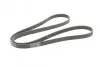 Ремень генератора VW T4 2.0i 91-03/Opel Vectra 2.2 98-05/Toyota Avensis 1.6/1.8 00-03 CONTINENTAL Contitech 6PK1900 (фото 5)