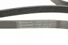 Ремень генератора Ford Focus 1.4/1.6 16V 98-04 CONTINENTAL Contitech 6PK1915 (фото 4)