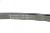 Ремінь генератора VW Crafter 2.5TDI 06-13/MB C-class (W204)/E-class (W212) 2.2CDI 09-15 CONTINENTAL Contitech 6PK2000 (фото 4)