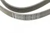 Ремень генератора MB Vito OM601/602 (AC)/ M111 (PS) CONTINENTAL Contitech 6PK2013 (фото 4)