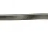 Ремінь генератора MB C-class 2.0 00-02 (M111) CONTINENTAL Contitech 6PK2035 (фото 2)