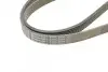 Ремінь генератора MB C-class 2.0 00-02 (M111) CONTINENTAL Contitech 6PK2035 (фото 3)