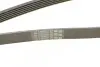 Ремінь генератора MB C-class 2.0 00-02 (M111) CONTINENTAL Contitech 6PK2035 (фото 4)