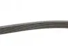 Ремень генератора MB C-class (W202) 93-01/E-class (W124) 93-98/Ssangyong Korando 96-06/Dodge 06- CONTINENTAL Contitech 6PK2040 (фото 2)