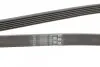 Ремень генератора MB C-class (W202) 93-01/E-class (W124) 93-98/Ssangyong Korando 96-06/Dodge 06- CONTINENTAL Contitech 6PK2040 (фото 3)
