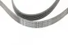 Ремень генератора MB C-class (W202) 93-01/E-class (W124) 93-98/Ssangyong Korando 96-06/Dodge 06- CONTINENTAL Contitech 6PK2040 (фото 4)
