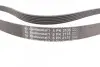 Ремень генератора MB C-class (W203) 00-02/E-class (W212) 11-15/S-class (W221) 11-13/Sprinter 2.9 CONTINENTAL Contitech 6PK2135 (фото 2)