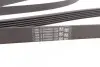 Ремень генератора MB C-class (W203) 00-02/E-class (W212) 11-15/S-class (W221) 11-13/Sprinter 2.9 CONTINENTAL Contitech 6PK2135 (фото 3)