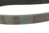 Ремінь генератора MB C-class (W202/W204)/E-class (W210/W212)/S-class (W221) 1.8/2.2 94-14 CONTINENTAL Contitech 6PK2155 (фото 3)