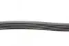 Ремінь генератора MB C-class (W203) 00-08 CONTINENTAL Contitech 6PK2190 (фото 2)