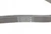 Ремінь генератора MB C-class (W203) 00-08 CONTINENTAL Contitech 6PK2190 (фото 3)