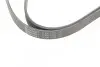 Ремінь генератора MB C-class (W203) 00-08 CONTINENTAL Contitech 6PK2190 (фото 4)