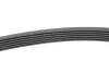 Ремінь генератора VW T4 2.5TDI/LT 2.3 96-06/MB C-class (W204) 3.5 11-/V-class (W639) 2.2CDI 10- CONTINENTAL Contitech 6PK2215 (фото 2)