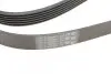 Ремінь генератора VW T4 2.5TDI/LT 2.3 96-06/MB C-class (W204) 3.5 11-/V-class (W639) 2.2CDI 10- CONTINENTAL Contitech 6PK2215 (фото 3)