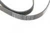 Ремінь генератора VW T4 2.5TDI/LT 2.3 96-06/MB C-class (W204) 3.5 11-/V-class (W639) 2.2CDI 10- CONTINENTAL Contitech 6PK2215 (фото 4)