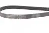 Ремень генератора VW T4 2.5 90-03/Ford Fiesta/Mondeo 1.8/2.0 00-08/Jeep Cherokee 3.7 01-08 CONTINENTAL Contitech 6PK2225 (фото 2)
