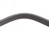 Ремень генератора VW T4 2.5 90-03/Ford Fiesta/Mondeo 1.8/2.0 00-08/Jeep Cherokee 3.7 01-08 CONTINENTAL Contitech 6PK2225 (фото 3)