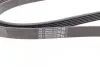 Ремень генератора MB W202/211 2.0/2.2/2.7CDI CONTINENTAL Contitech 6PK2241 (фото 3)