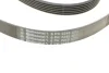 Ремень генератора MB W202/211 2.0/2.2/2.7CDI CONTINENTAL Contitech 6PK2245 (фото 3)