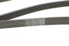 Ремень генератора MB W202/211 2.0/2.2/2.7CDI CONTINENTAL Contitech 6PK2245 (фото 4)
