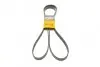 Ремень поликлиновый (6PK2260) ContiTech
