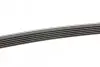 Ремень генератора Mazda 6 2.3 02-07/CX-7 2.5MZR 09-13/Jaguar XF/XJ 3.0D 09-/Saab 900 II 2.5 93-98 CONTINENTAL Contitech 6PK2310 (фото 2)