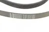 Ремень генератора Mazda 6 2.3 02-07/CX-7 2.5MZR 09-13/Jaguar XF/XJ 3.0D 09-/Saab 900 II 2.5 93-98 CONTINENTAL Contitech 6PK2310 (фото 3)
