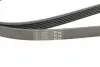 Ремень генератора Mazda 6 2.3 02-07/CX-7 2.5MZR 09-13/Jaguar XF/XJ 3.0D 09-/Saab 900 II 2.5 93-98 CONTINENTAL Contitech 6PK2310 (фото 4)