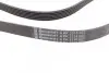 Ремінь генератора MB W202/210 M112/113 97- (WP,PS) CONTINENTAL Contitech 6PK2315 (фото 2)