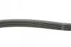 Ремінь генератора MB W124/S124 M104 -96 CONTINENTAL Contitech 6PK2330 (фото 2)