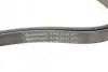 Ремінь генератора MB W124/S124 M104 -96 CONTINENTAL Contitech 6PK2330 (фото 4)