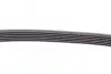 Ремень генератора MB W124/W164 CONTINENTAL Contitech 6PK2360 (фото 4)