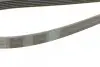 Ремень генератора MB E-class (W211) 5.5 02-08 (M113)/Land Rover Range Rover 5.0SCV8 13- CONTINENTAL Contitech 6PK2445 (фото 3)