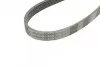 Ремень генератора MB E-class (W211) 5.5 02-08 (M113)/Land Rover Range Rover 5.0SCV8 13- CONTINENTAL Contitech 6PK2445 (фото 4)