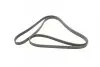 Ремень генератора MB E-class (W211) 5.5 02-08 (M113)/Land Rover Range Rover 5.0SCV8 13- CONTINENTAL Contitech 6PK2445 (фото 5)