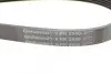 Ремінь генератора Hyundai Santa Fe 12-15/Jeep Patriot 2.4 08- CONTINENTAL Contitech 6PK2550 (фото 4)