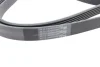 Ремінь генератора Mitsubishi Lancer 1.8 08-/Outlander 2.0-2.4 06- CONTINENTAL Contitech 6PK2563 (фото 3)