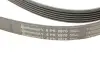 Ремінь генератора Jeep Cherokee/Liberty 2.5CRD/2.8 CRD 01- CONTINENTAL Contitech 6PK2870 (фото 4)