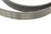 Ремінь генератора Jeep Cherokee/Liberty 2.5CRD/2.8 CRD 01- CONTINENTAL Contitech 6PK2870 (фото 5)