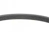 Ремінь генератора Seat Ibiza/Skoda Fabia/Rapid/Citigo/VW Polo/Up 1.0/1.6 14- (-AC) CONTINENTAL Contitech 6PK701 ELAST (фото 2)