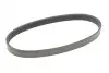 Ремінь генератора Seat Ibiza/Skoda Fabia/Rapid/Citigo/VW Polo/Up 1.0/1.6 14- (-AC) CONTINENTAL Contitech 6PK701 ELAST (фото 5)
