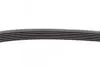 Ремень генератора VW Caddy III 1.4/1.6 04-/Golf/Polo 1.2/1.4TSI 12-/Audi A3 1.2/1.4TFSI 13- CONTINENTAL Contitech 6PK737 (фото 3)