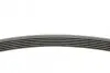 Ремень генератора VW Polo/Skoda Fabia 1.9SDI/TDI 01-12 CONTINENTAL Contitech 6PK780 (фото 2)