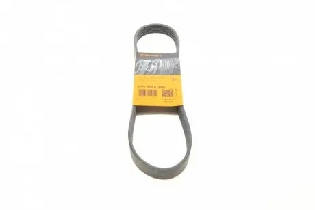 Ремень поликлиновый Conti Contitech 6PK802EXTRA